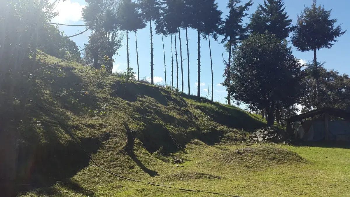 7 de 29