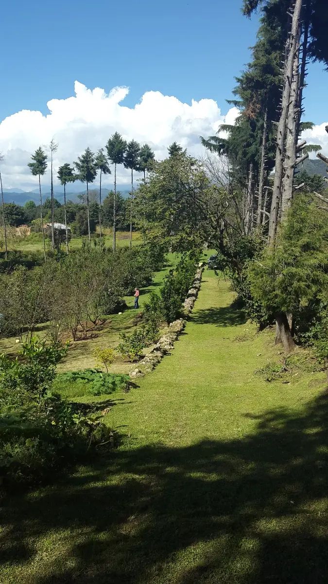 8 de 29