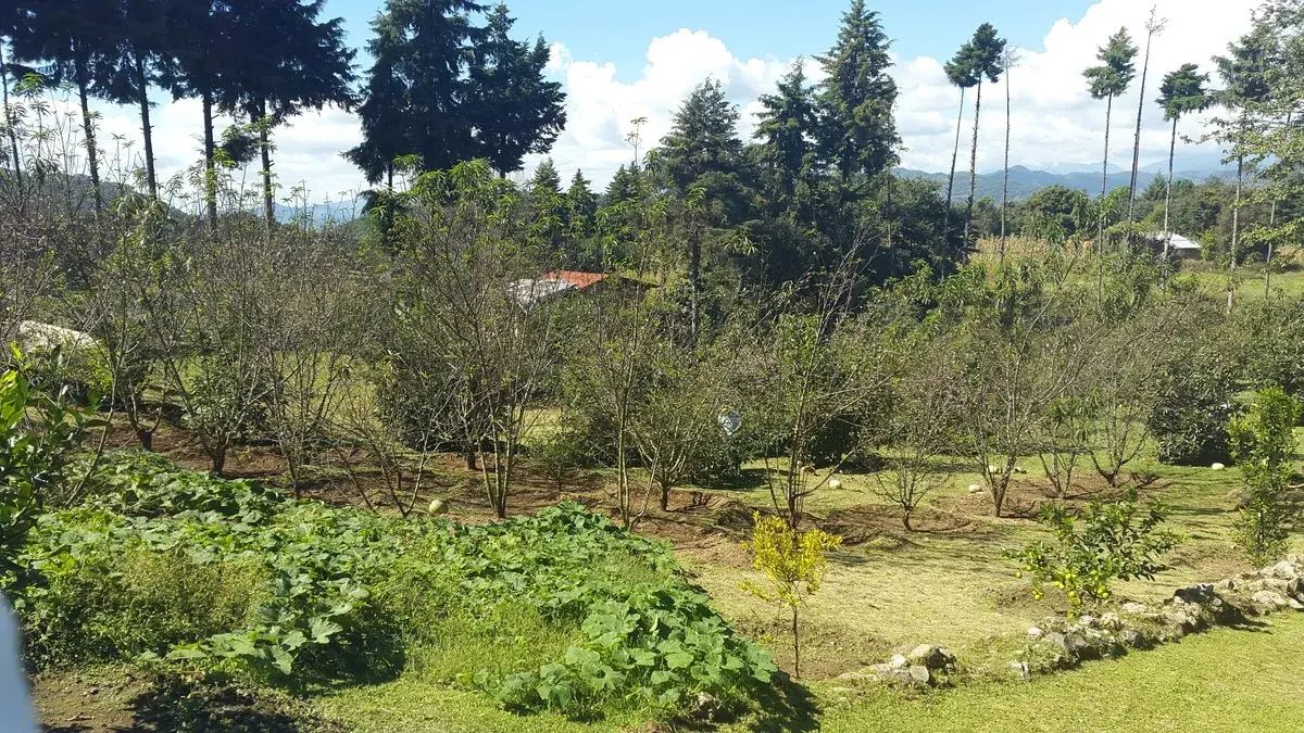 9 de 29