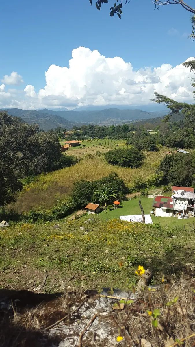 14 de 29