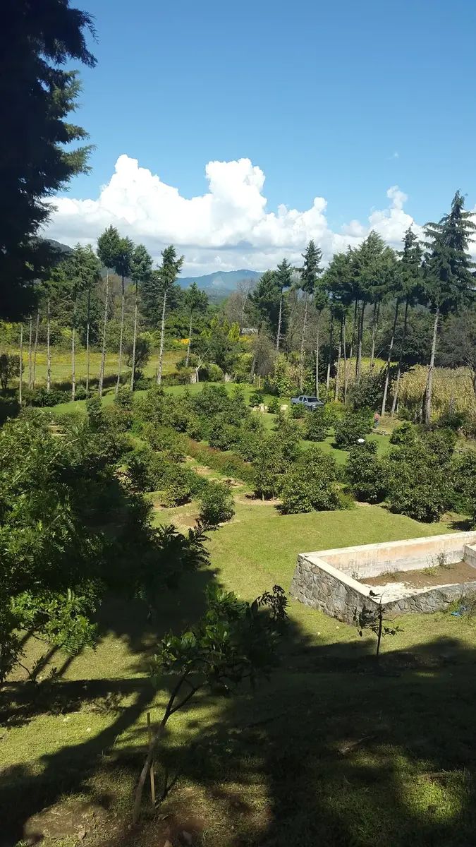 16 de 29