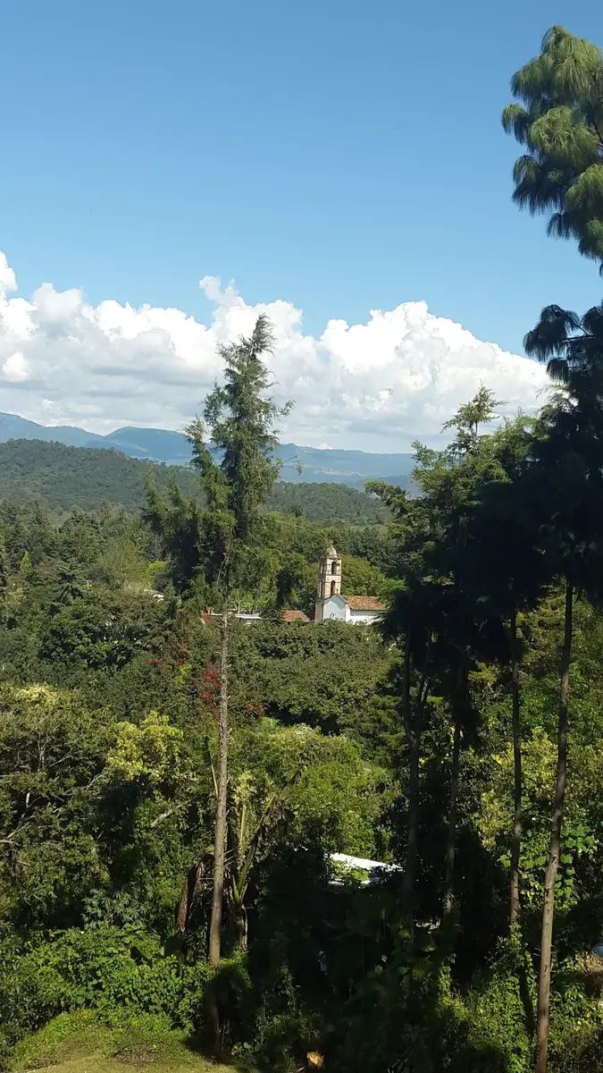 25 de 29