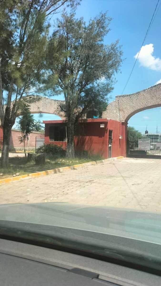 2 de 19