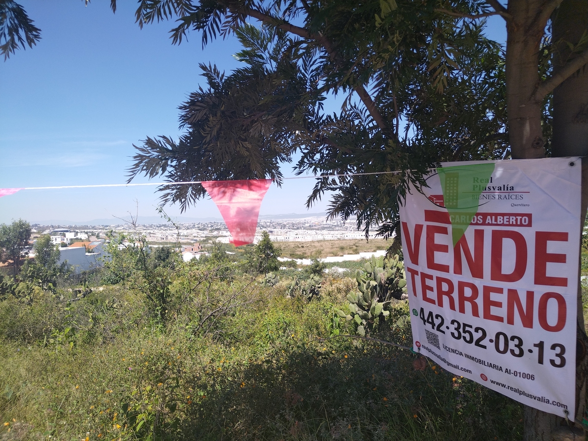 14 de 15