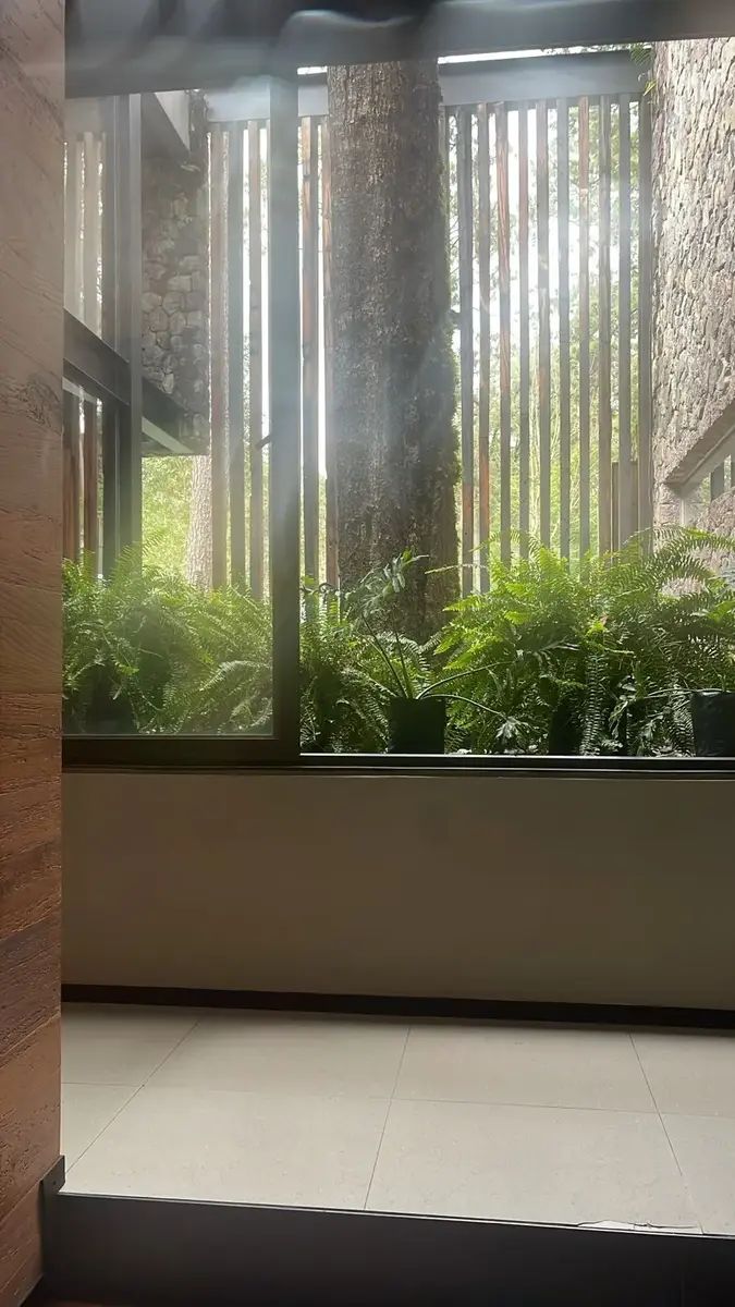 26 de 27