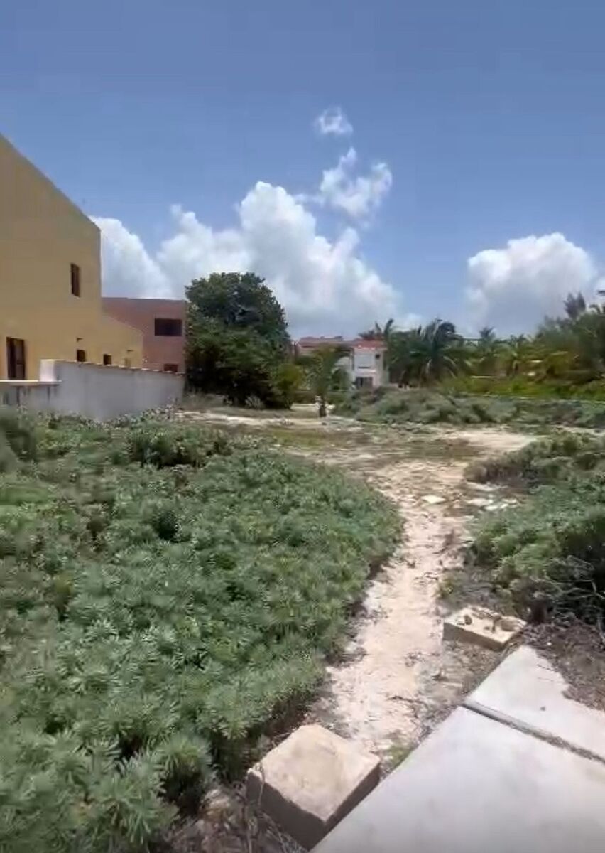 5 de 5