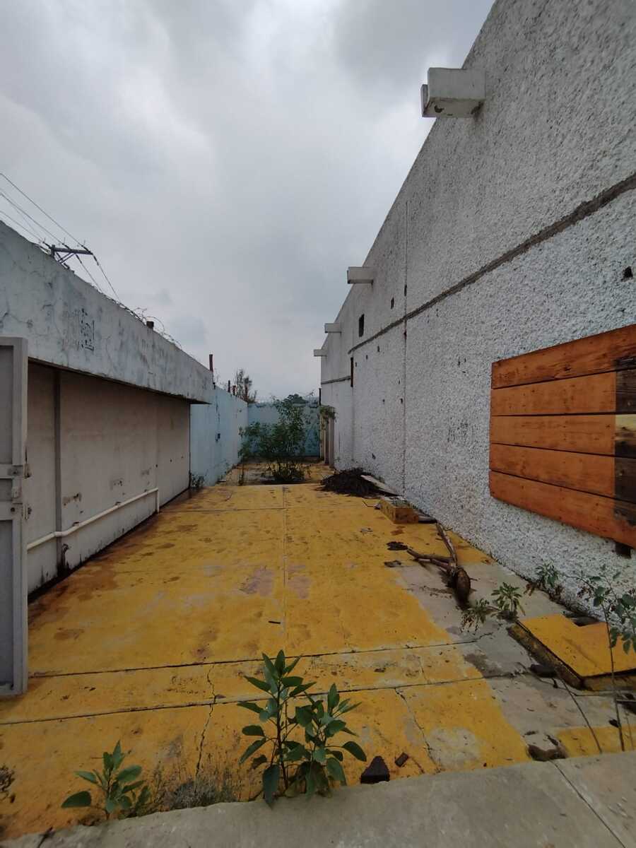 6 de 7