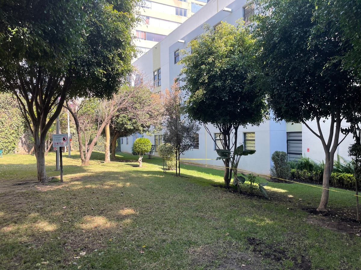 11 de 12