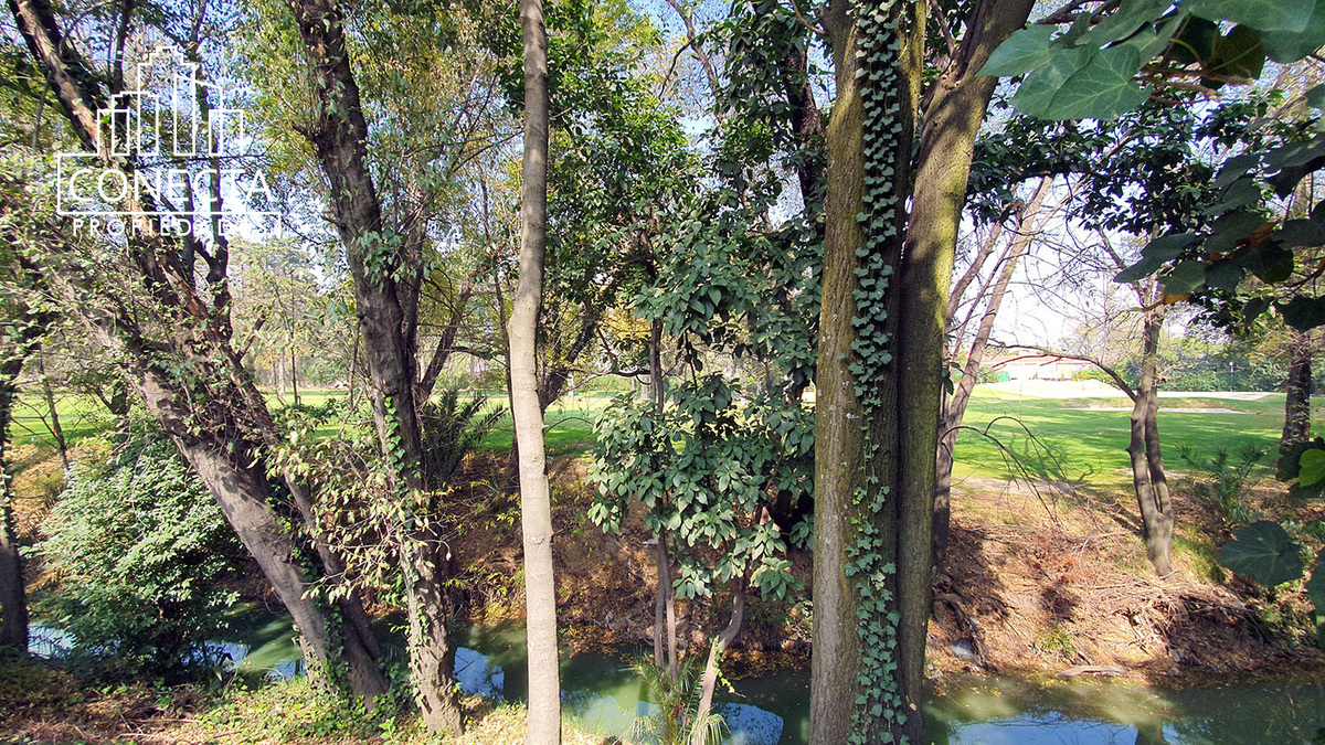 3 de 21: Vista del jardin al campo de golf