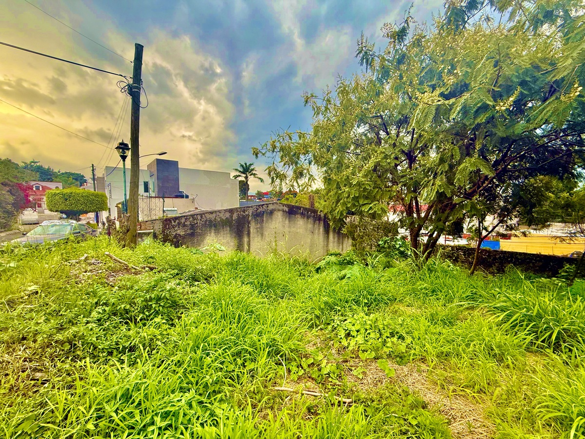 9 de 10: Vista lateral del terreno