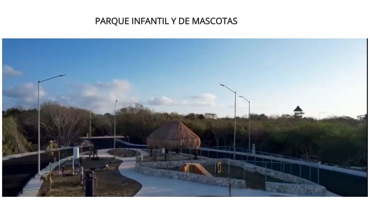 5 de 8