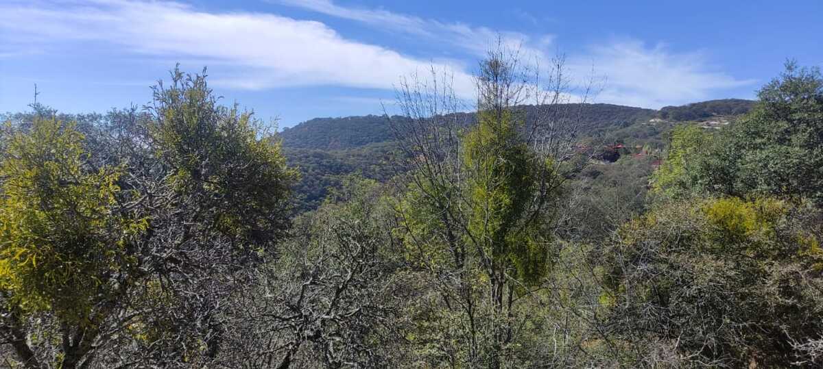 4 de 5
