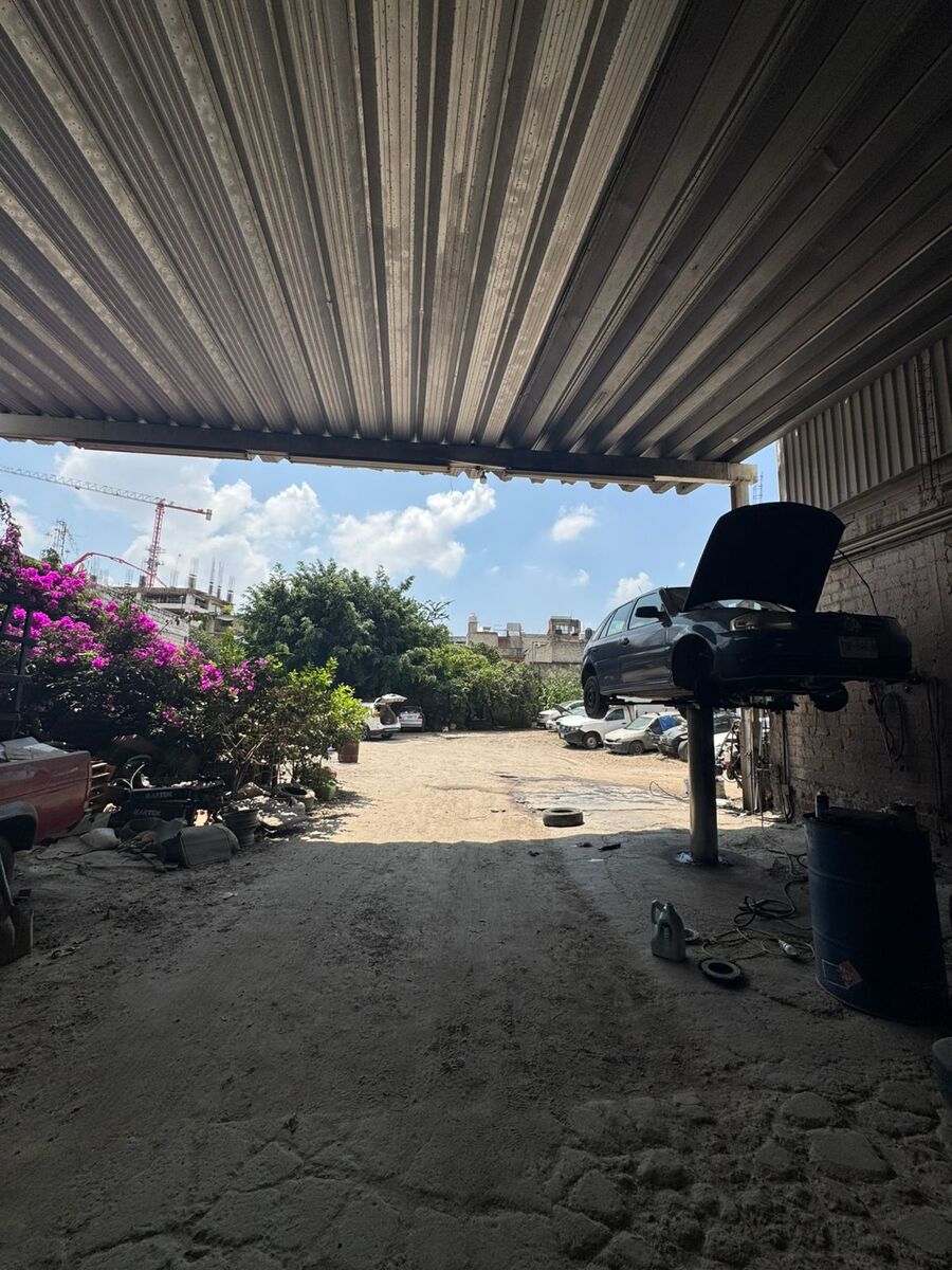 7 de 12