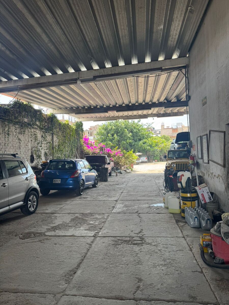 8 de 12