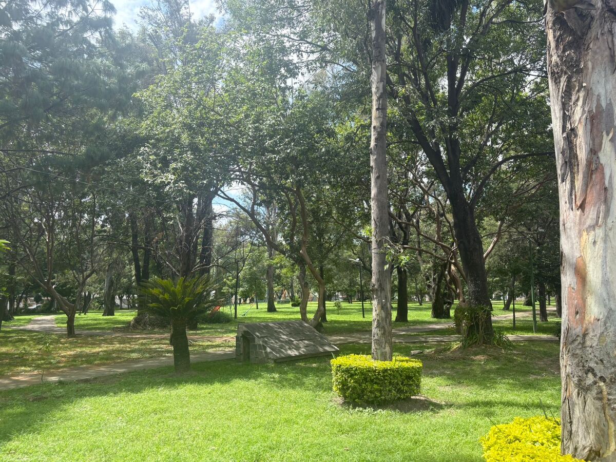 15 de 17