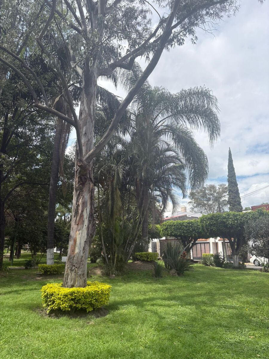 16 de 17