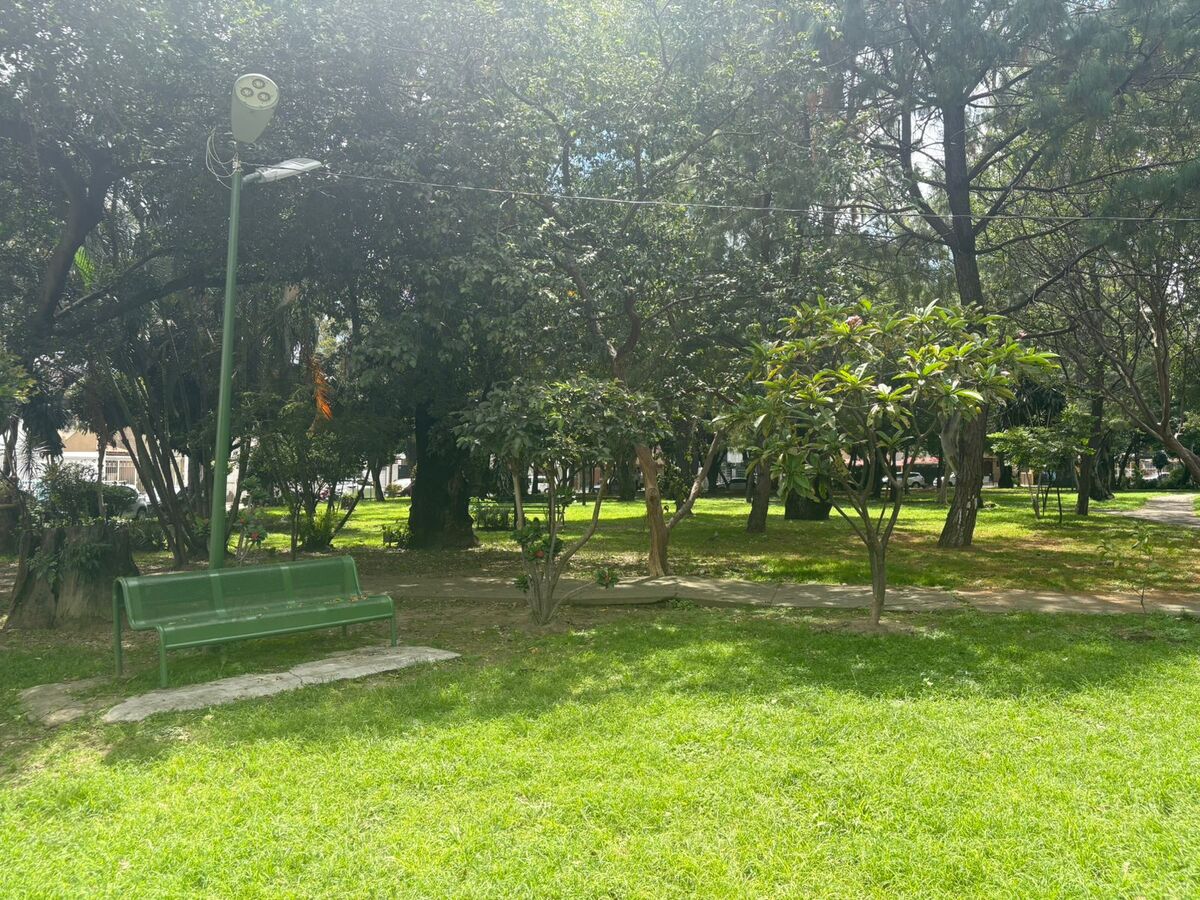 17 de 17