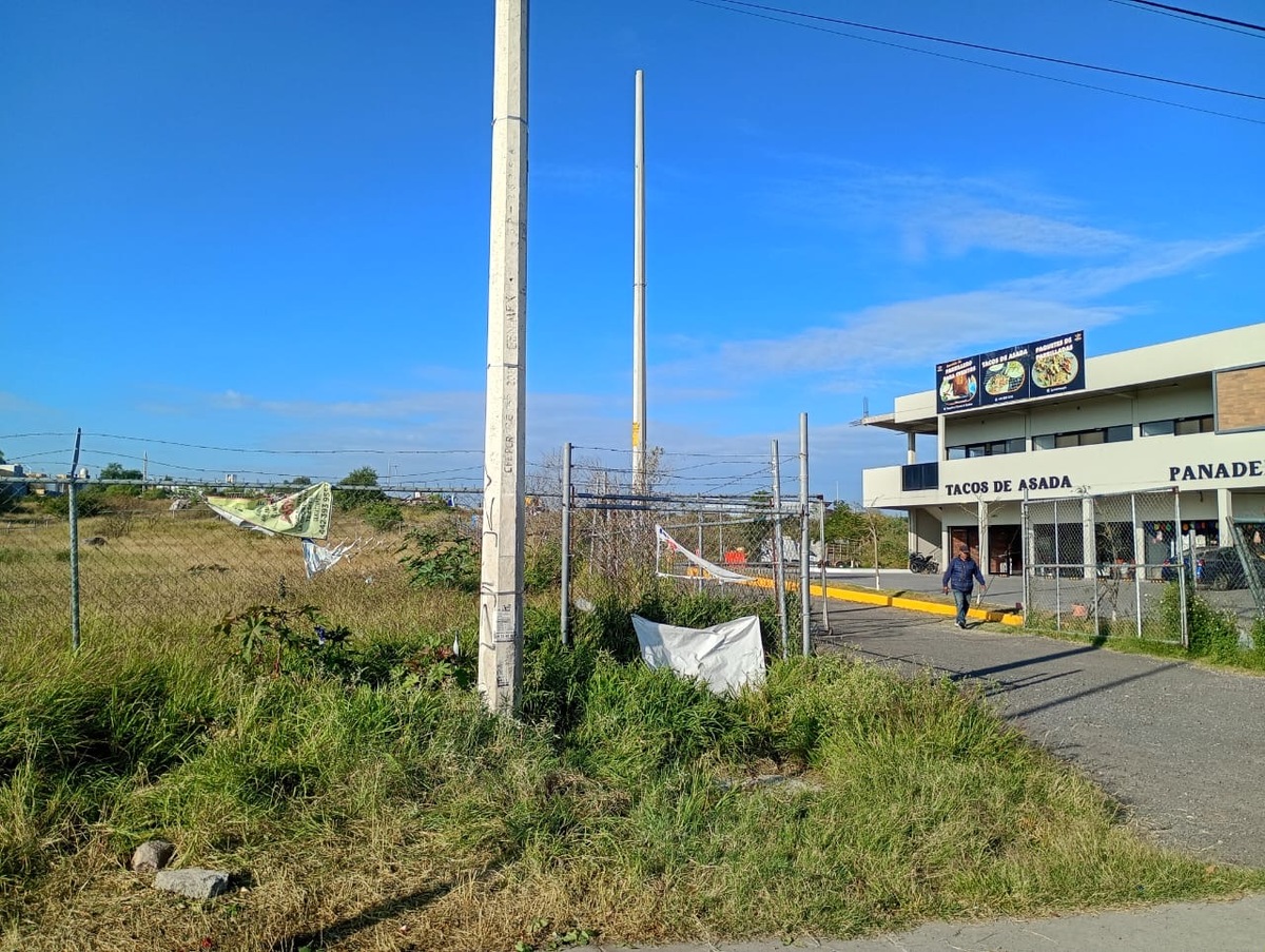 4 de 8