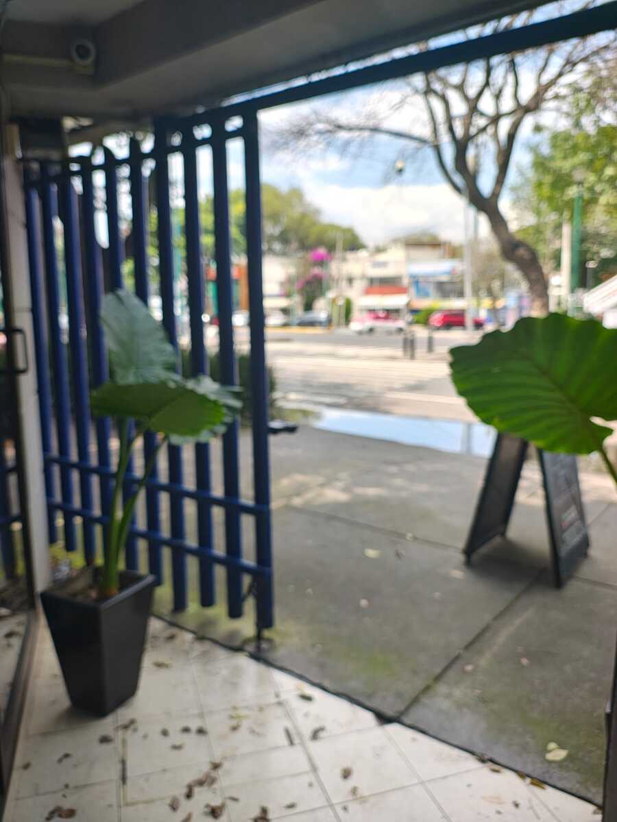 1 de 11