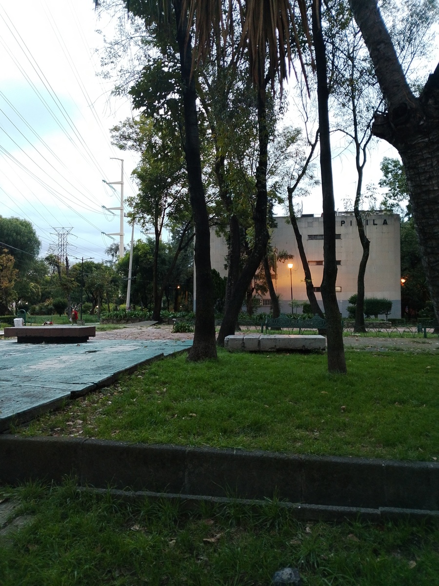 1 de 14