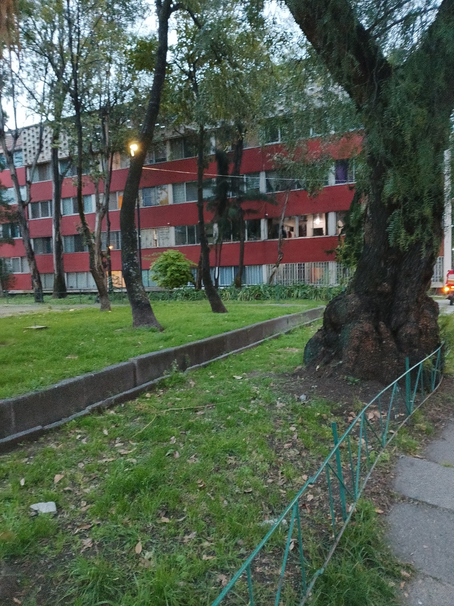 2 de 14