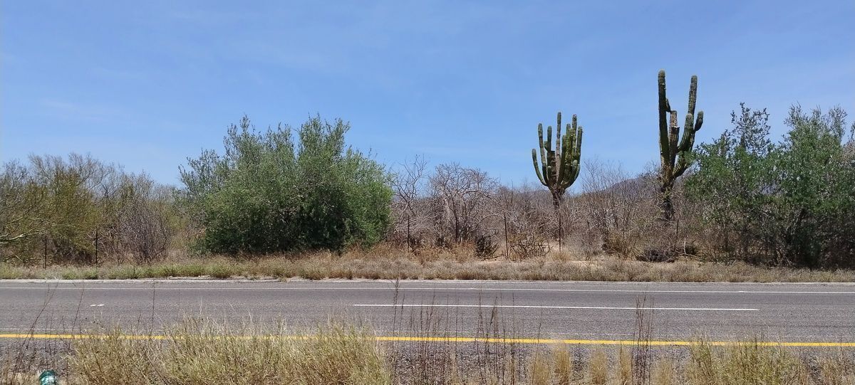 4 de 5