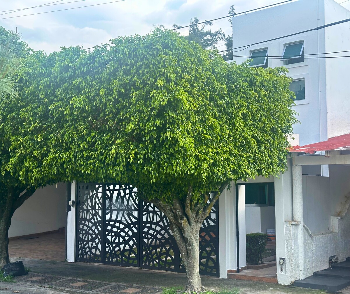 2 de 13