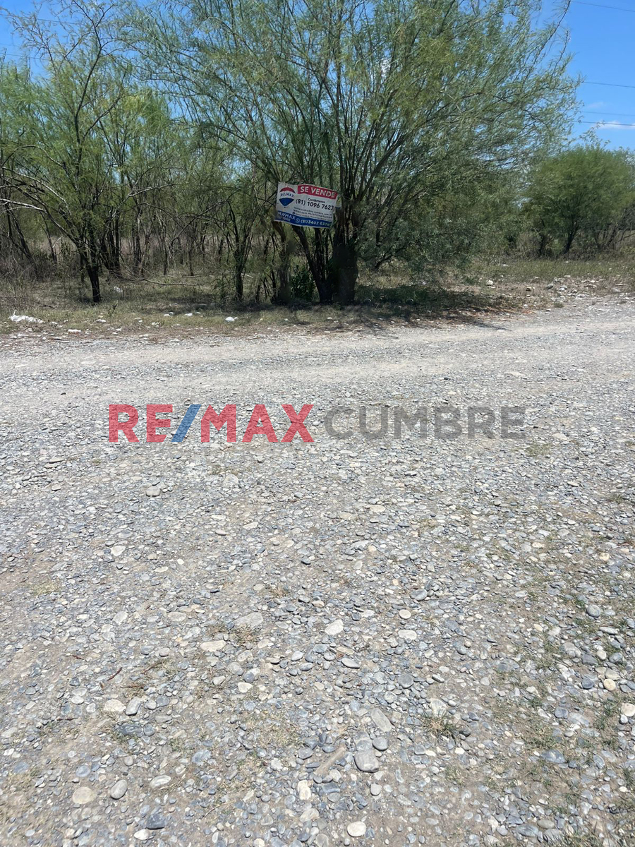 1 de 10