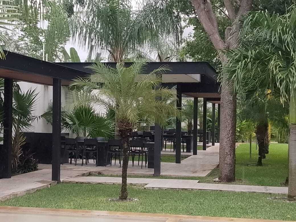 3 de 8