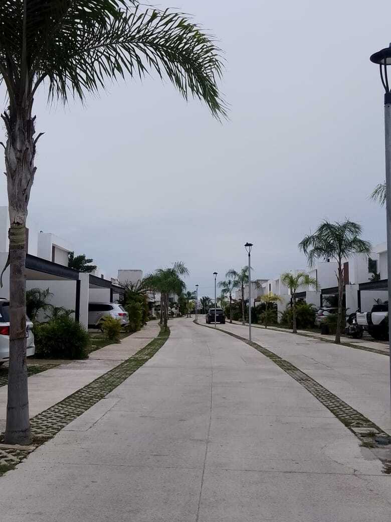 5 de 8