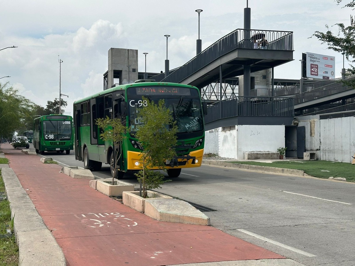 3 de 6