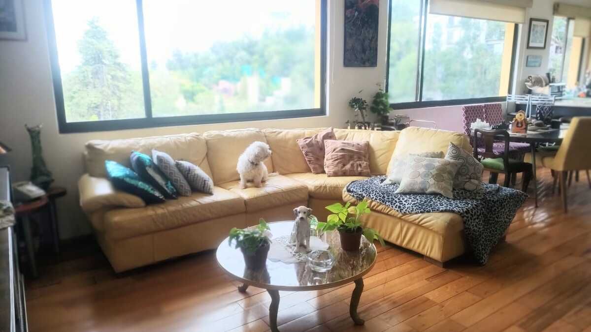 Departamento en venta en Tetelpan - foto 3
