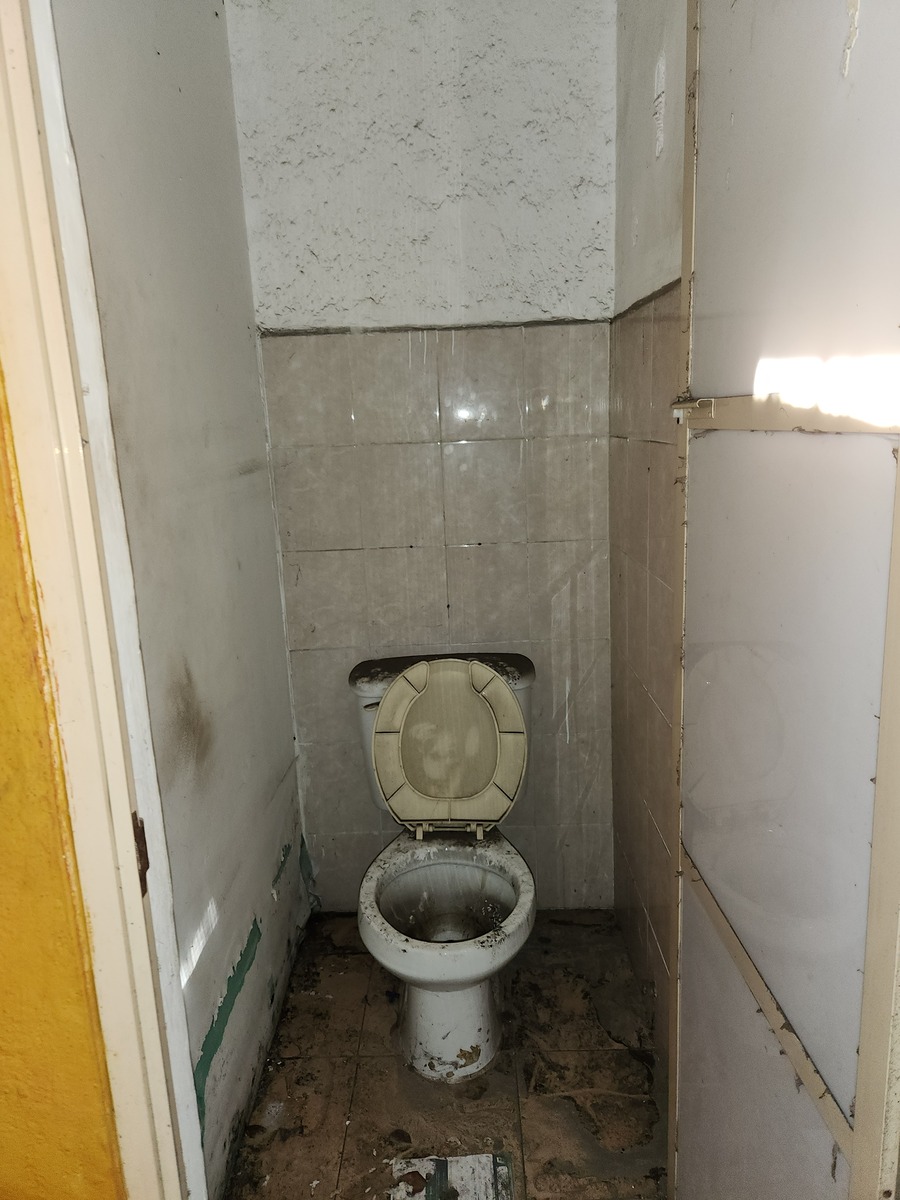 8 de 8