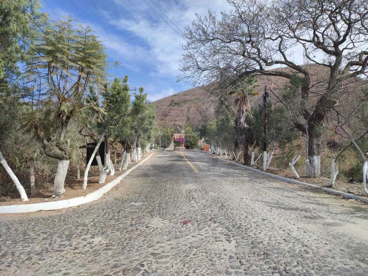 1 de 12