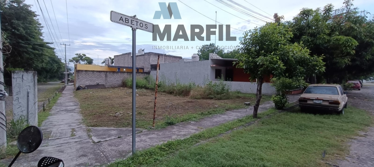 6 de 11