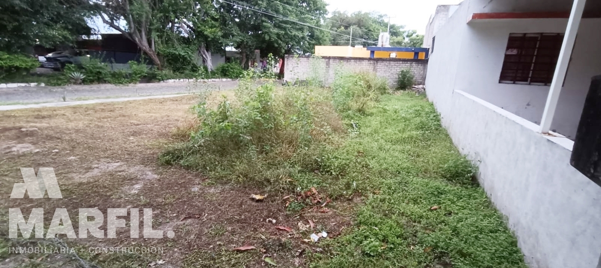 7 de 11