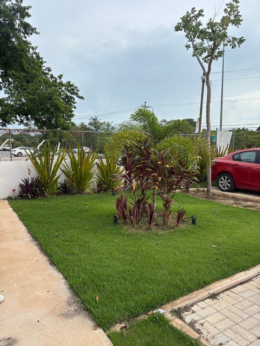 Retail Space in Dzityá, Mérida, photo 14 of 15