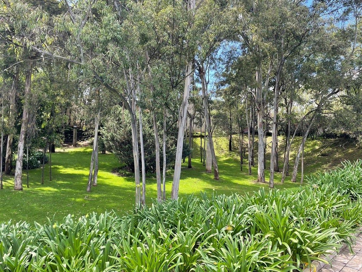 Casa en Santa Fe La Loma, Álvaro Obregón, foto 45 de 50