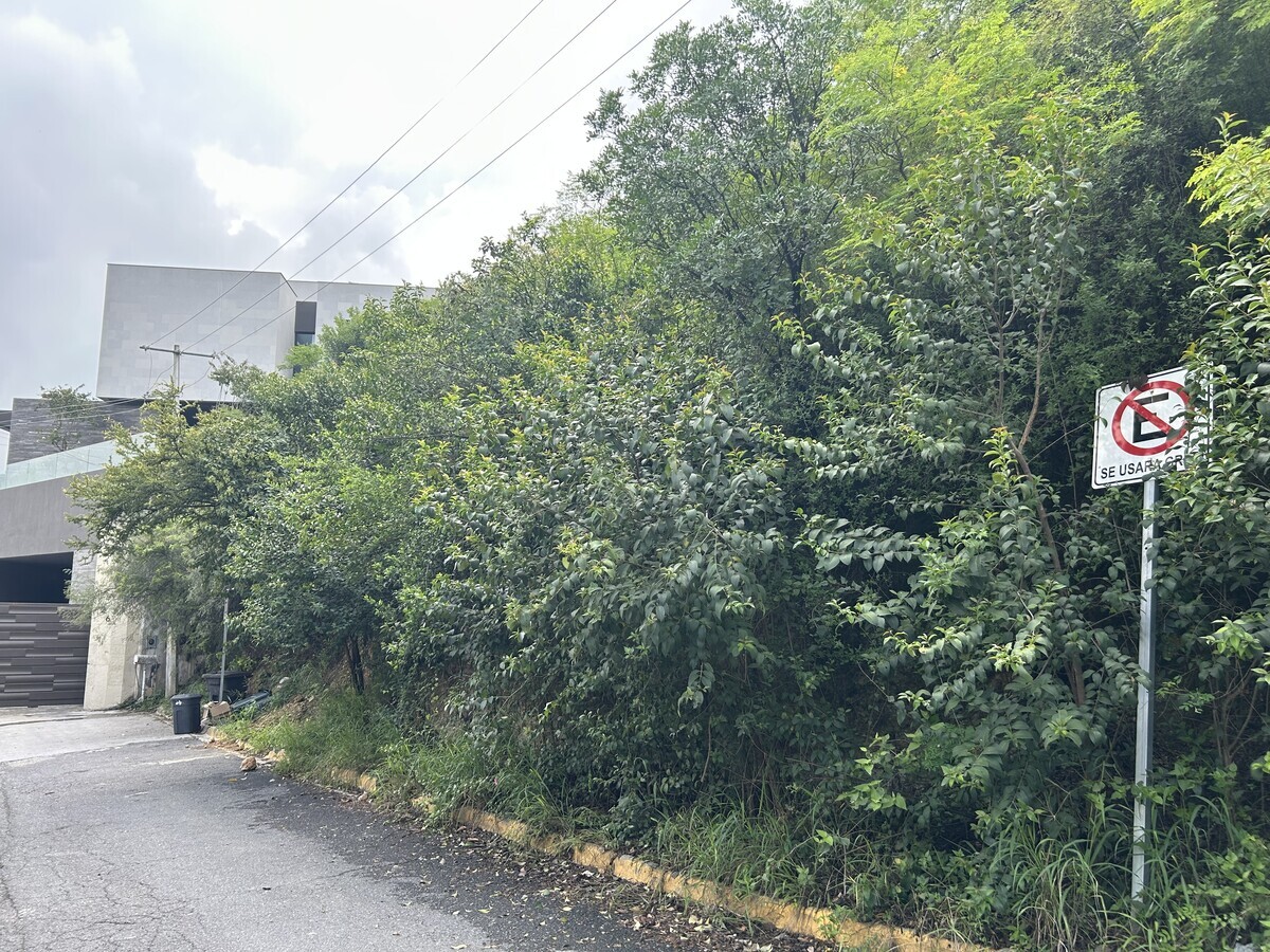 5 de 8