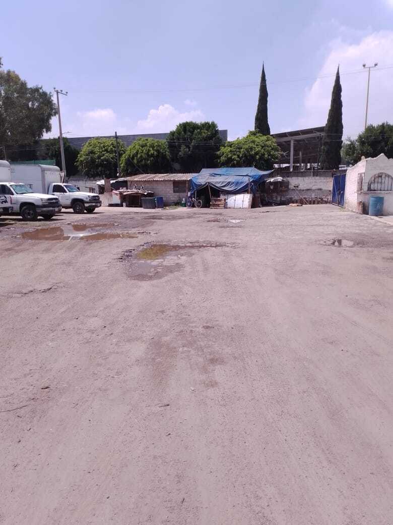 3 de 8: Centro del Terreno