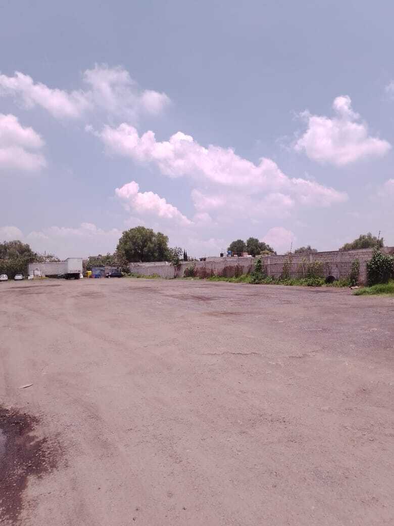 5 de 8: Centro del terreno