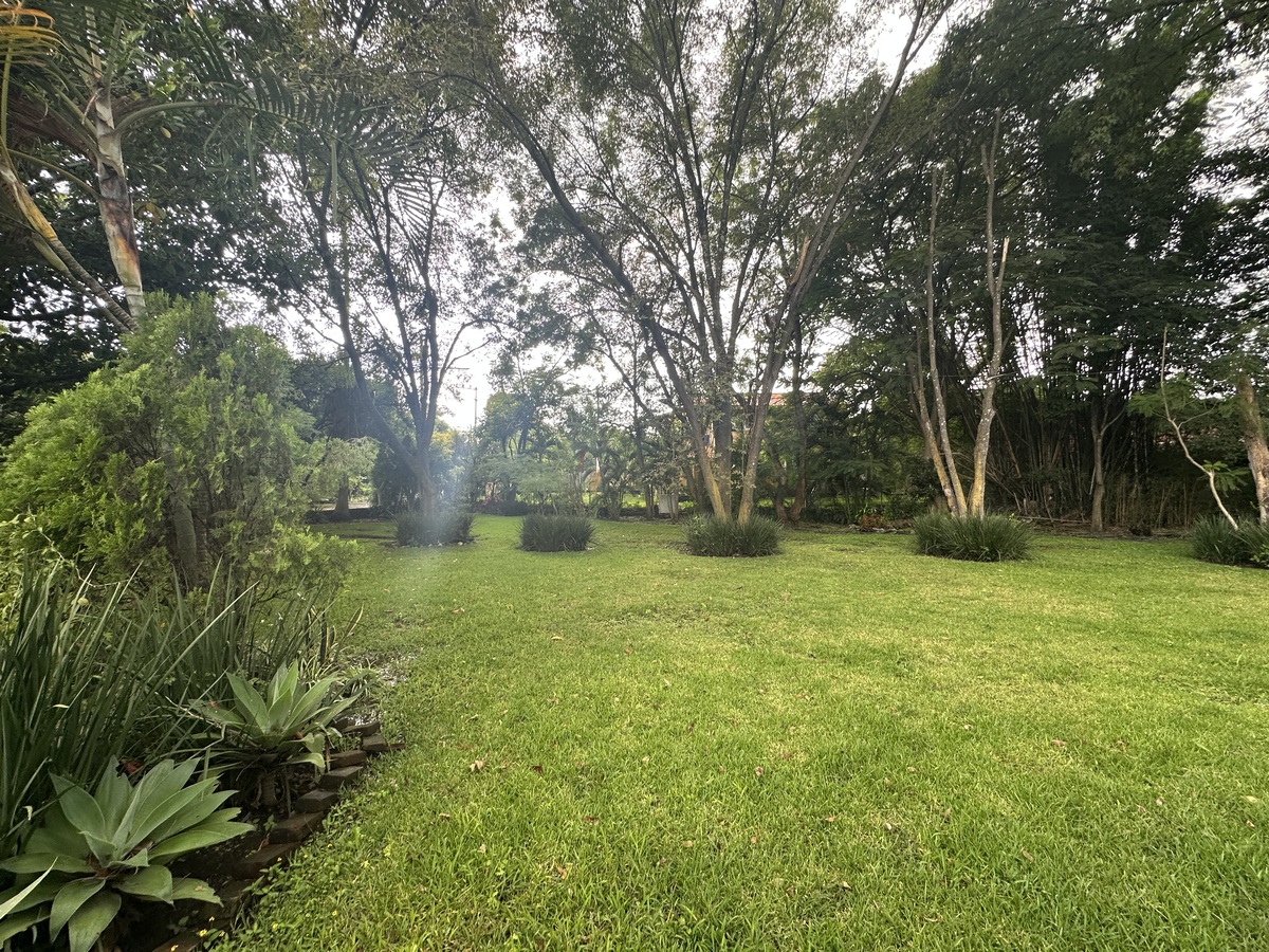 12 of 14