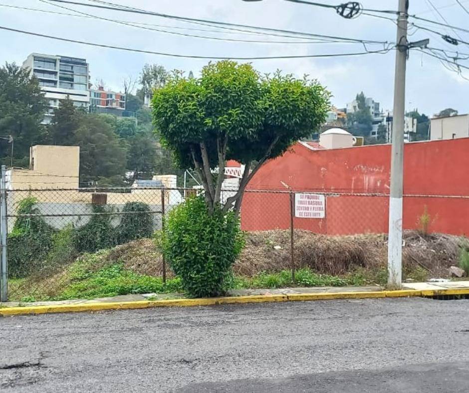 5 de 8