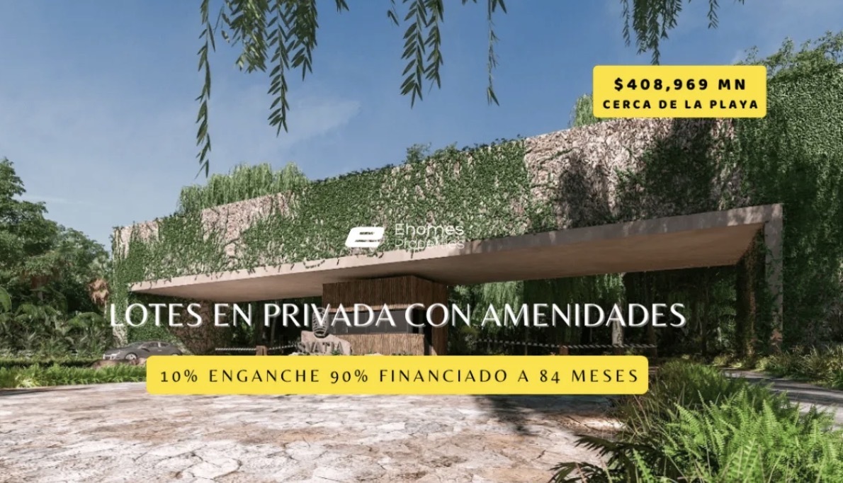 2 de 12