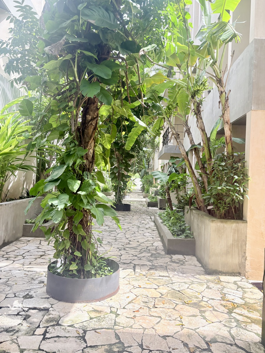 13 de 16: Patios