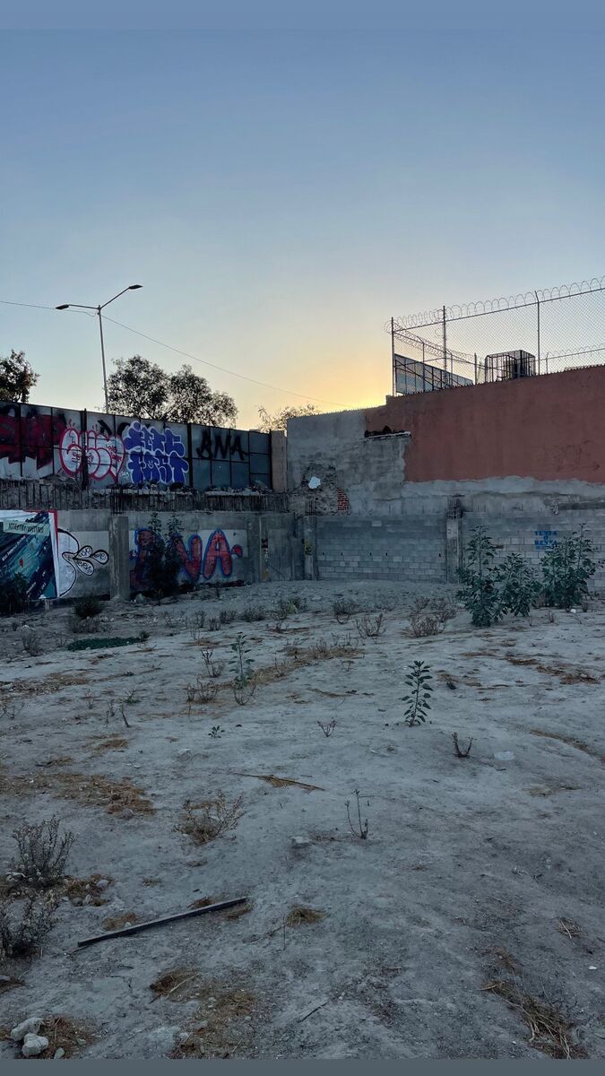 2 de 6