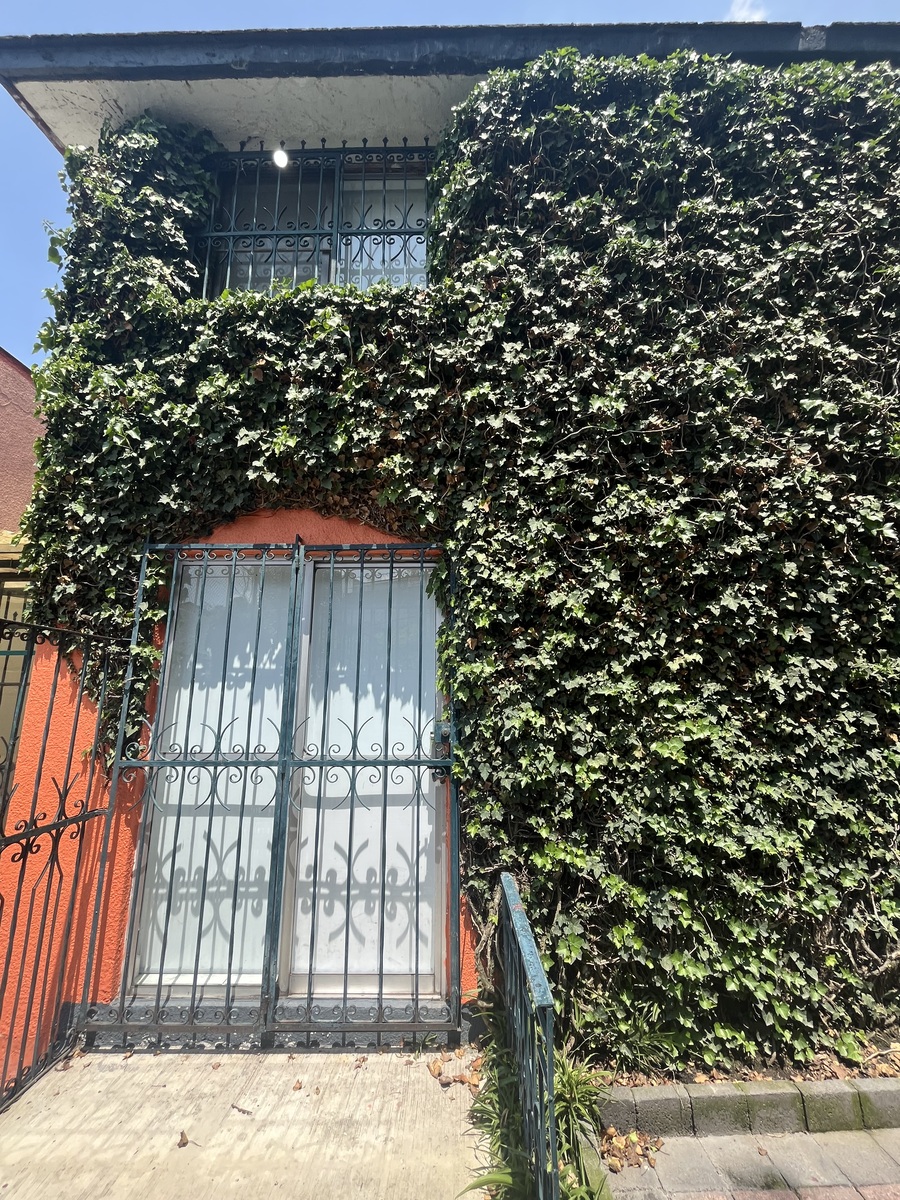 21 de 26