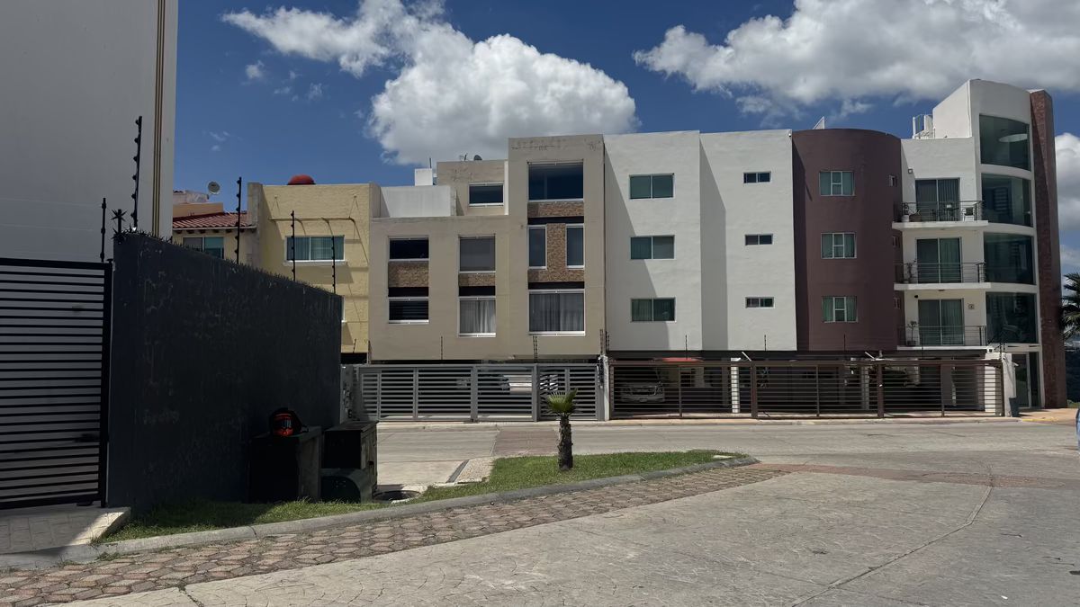 5 de 6