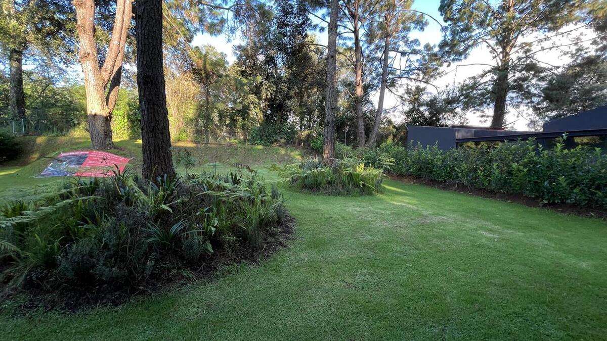 4 of 13: Jardin