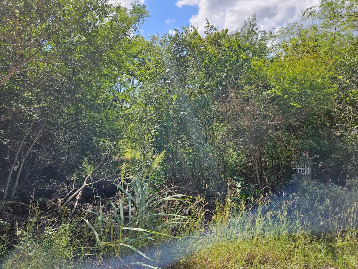 4 de 5